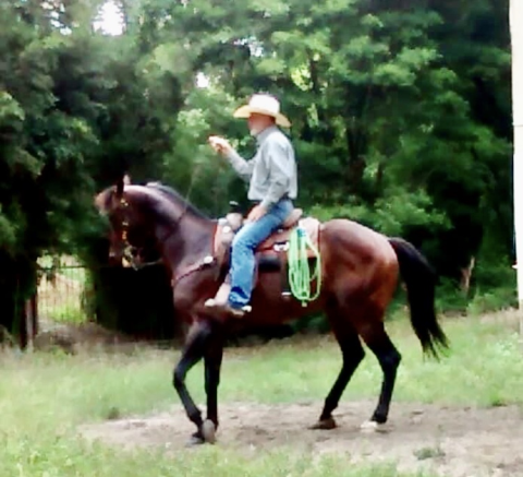 Puro sangue inglês lindo!!